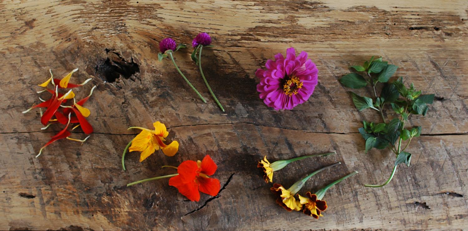 Zinnia petals, Clover, Nasturtium, Chocolate Mint, (are all featured in this photo)   Also available: Roses, Violets, Marigolds, Lemon and Pineapple Mint.  All edible flowers and herbs are seasonal)